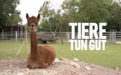 Tiere tun gut – Filmteam des Medienprojekts Wuppertal bei uns auf dem Bauernhof