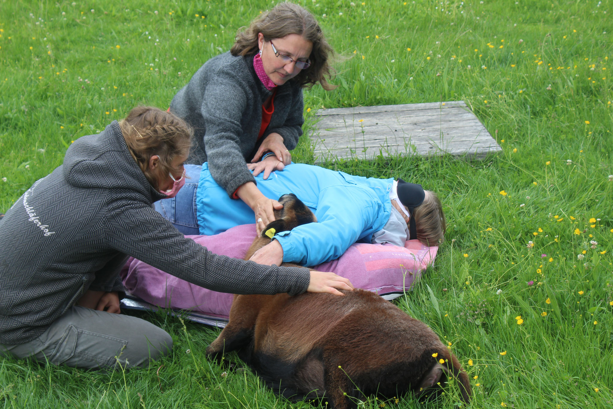 Teil einer Übung bei der Weiterbildung zur Fachkraft für tiergestützte Intervention mit Andrea Göhring.