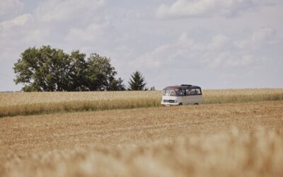 Wir im TV: „Lecker aufs Land“ – Unser Hof im SWR