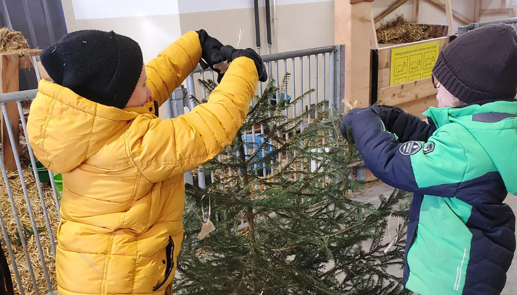 2025_Adventsbaum schmücken