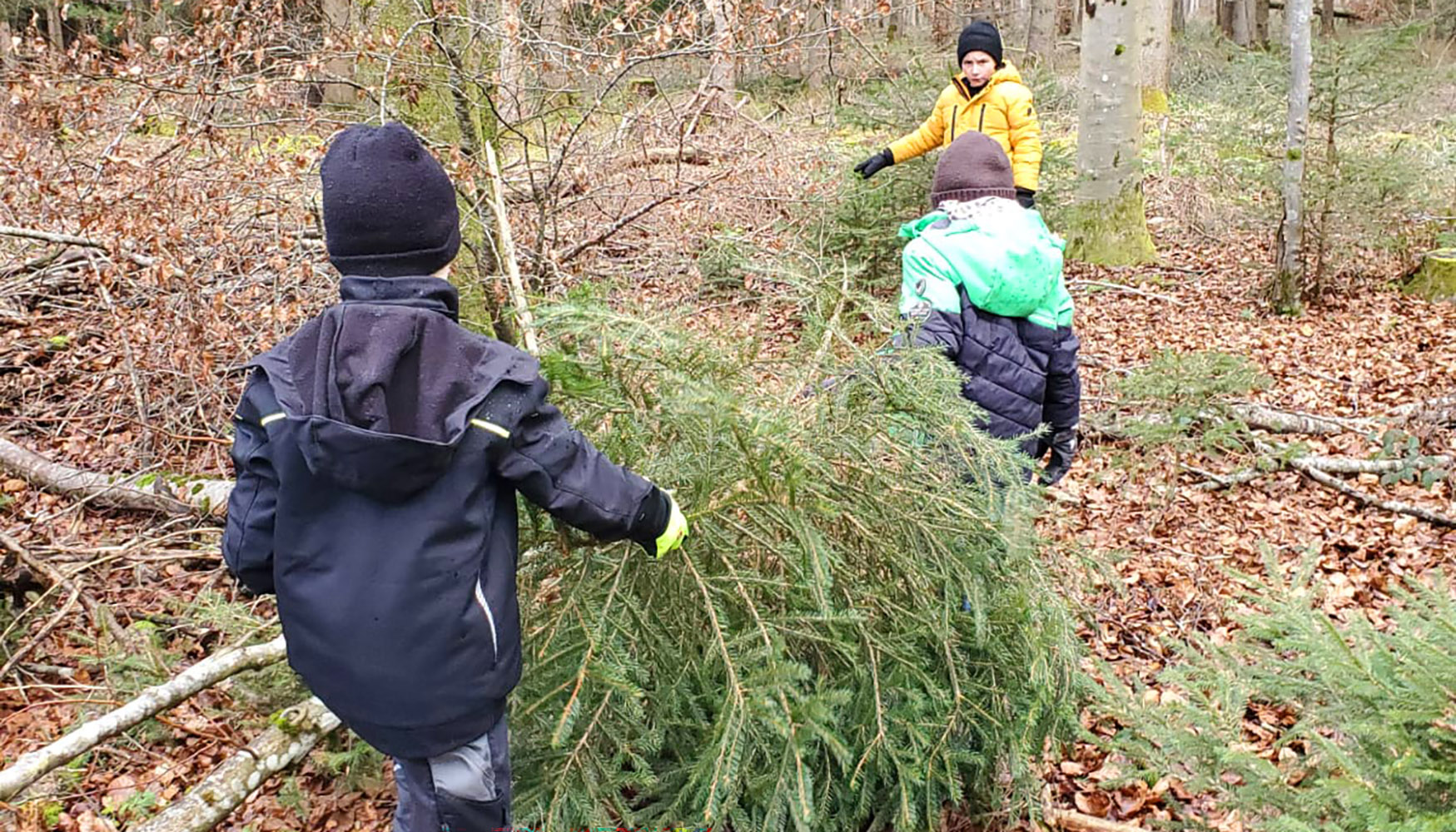 2025_Adventsbaum tragen Kinder