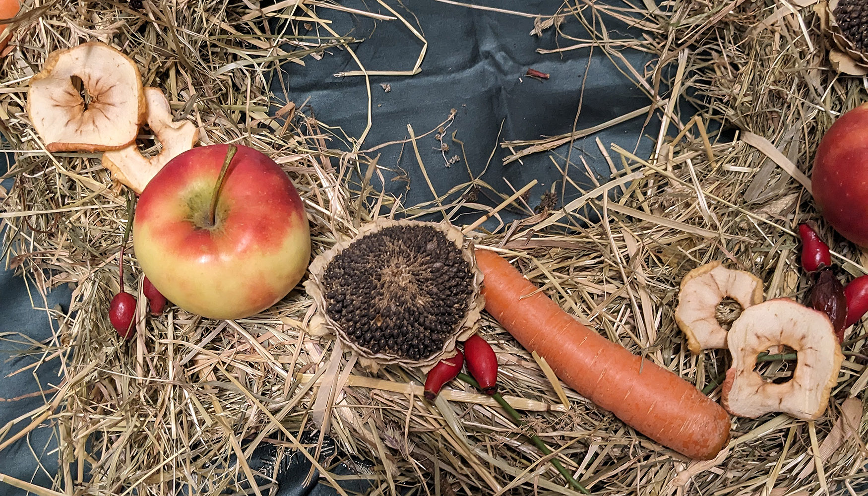 2025_Adventskranz Kühe mit Äpfeln