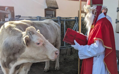 Weihnachten für unsere Bauernhoftiere