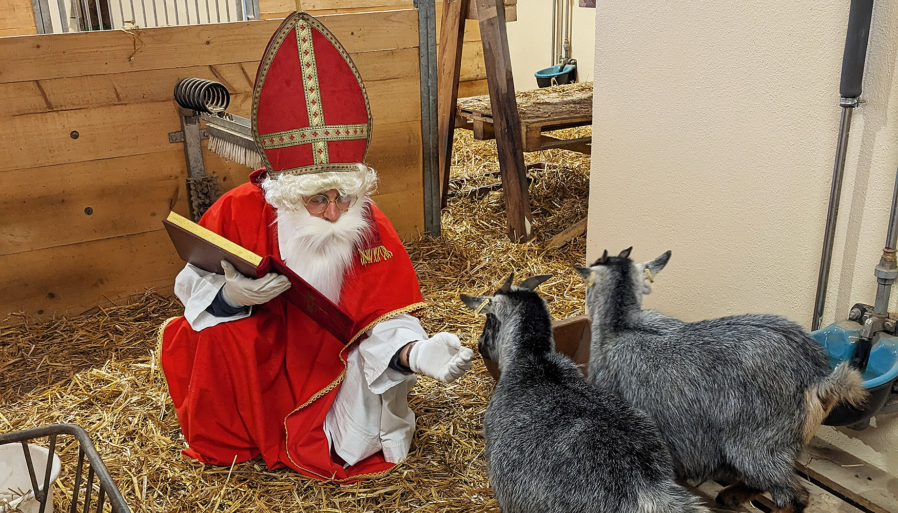 2025_Nikolaus bei Ziegen